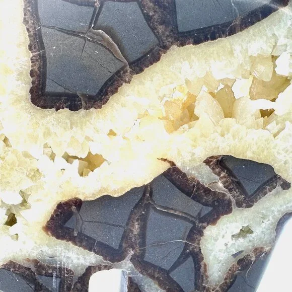Septarian Bear Nodule Carving with Crystal Geode Center—AKA Dragon Stone —EUC